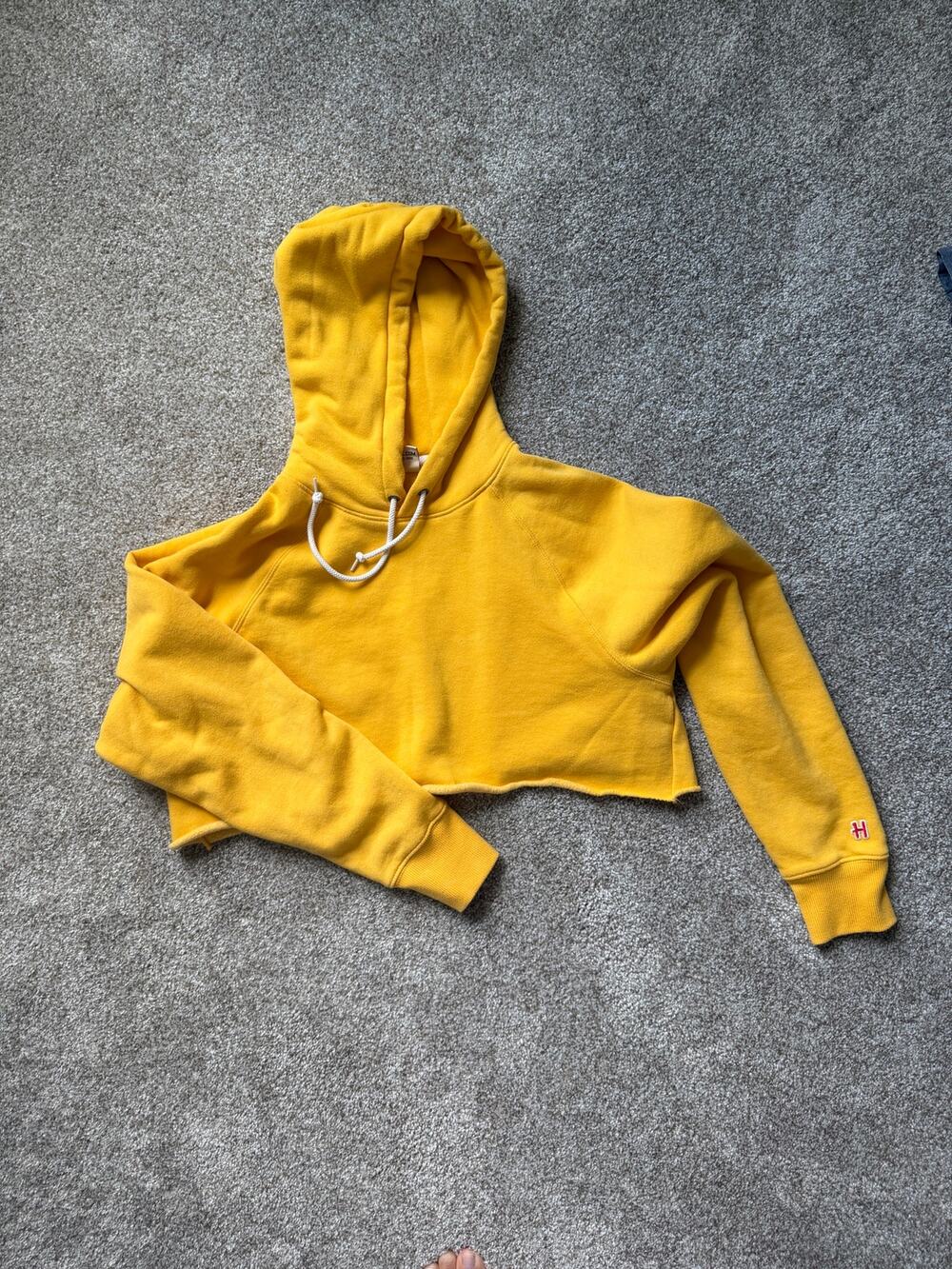 Homage cropped hoodie